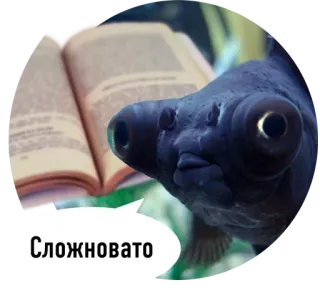 🐟 Сложновато cá, đọc sách, sách, đen, khó telegram sticker