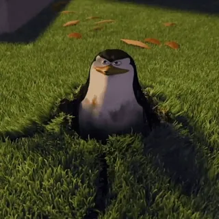 🐧 Skipper Penguins of Madagascar penguin, cartoon, animal, skipper, madagascar whatsapp sticker