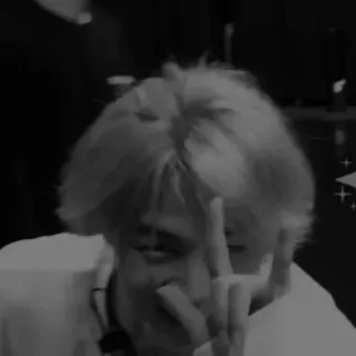 🦔 person, gesture, middle finger, black and white telegram sticker