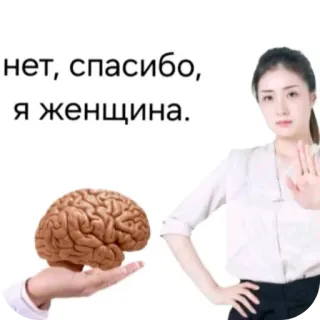 🤲 нет, спасибо, я женщина. telegram sticker