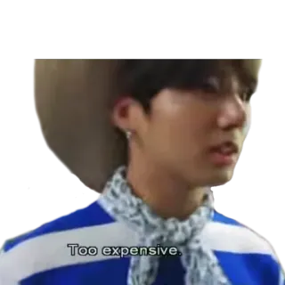 💰 Too expensive. 비싼, 돈, 카우보이, 모자 whatsapp sticker