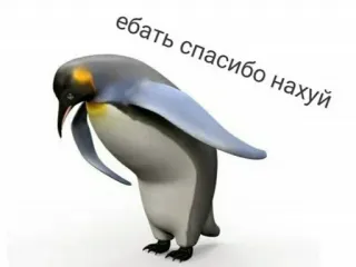 🌟 ебать спасибо нахуй penguin, bird, rude, offensive, russian, curse words whatsapp sticker