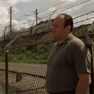 😕 Tony Soprano The Sopranos telegram sticker