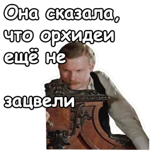 😜 Она сказала, что орхидеи ещё не зацвели russian, orchid, quote, text, sticker, man, furniture telegram sticker