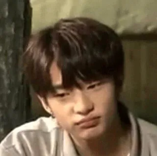 🎐 whatsapp sticker