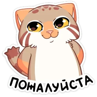 🥺 ПОЖАЛУЙСТА cat, cute, animal, cartoon, please telegram sticker