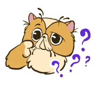 ❤ gatto, punti interrogativi, confuso, pensando, adesivo telegram sticker