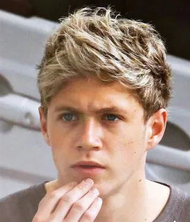 🤔 Niall Horan persona, hombre, pelo rubio, cantante, celebridad telegram sticker
