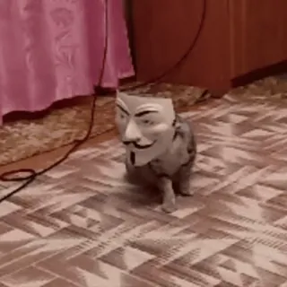 ❤️ Guy Fawkes chat, masque, anonyme, Guy Fawkes, V pour Vendetta, animal de compagnie, animal whatsapp sticker