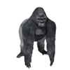 🦍