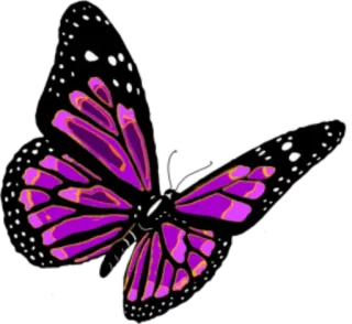 🐝 butterfly, insect, purple, nature, wings, flying whatsapp sticker
