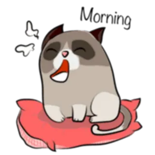 ☀️ кот, животное, милый, мультфильм, питомец, подушка telegram sticker