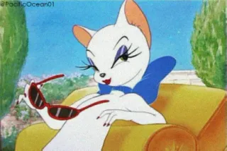 😎 chat, dessin animé, glamour, lunettes de soleil, animé whatsapp sticker