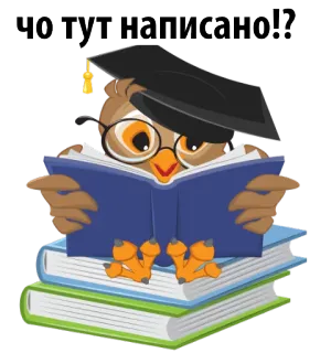 🙃 ЧО У ГТ НАПИСАНО!? coruja, livro, formatura, educação, estudante, leitura, pergunta whatsapp sticker