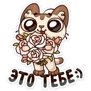 💐 ЭТО ТЕБЕ : ) gatto, fiori, carino, gattino, bouquet, saluto, regalo, rosa telegram sticker