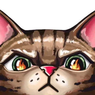😡 แมว, โกรธ, ตา, สัตว์, สัตว์ตระกูลแมว, สติกเกอร์ telegram sticker