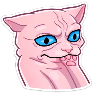 🤔 Katze, Meme, Lustig, Tier, Ausdruck telegram sticker