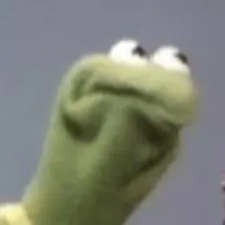 🤨 Meme, Kermit, Marionnette, Drôle, Expression, Muppets telegram sticker