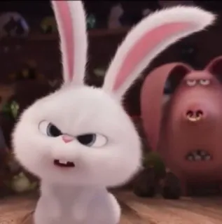 🐰 Snowball The Secret Life of Pets coelho, desenho animado, animal, animal de estimação, branco whatsapp sticker
