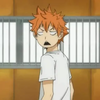 🍾 Hinata Shoyo Haikyuu!! Anime, Mangá, Haikyuu!!, Hinata Shoyo, Vôlei, Karasuno telegram sticker