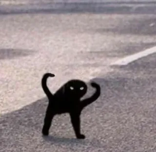 ✨ gato, gato preto, gato em pé, meme, engraçado, animal telegram sticker