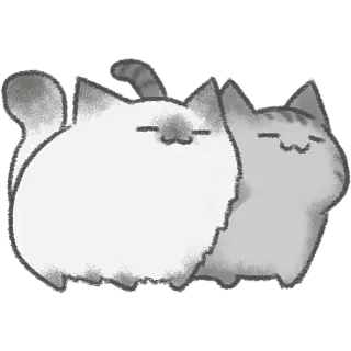 ☺️ kat, kitten, huisdier, dier, schattig, slaperig, katachtig whatsapp sticker
