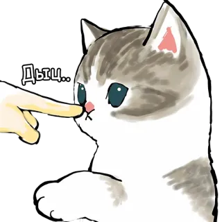 👉 Дыц.. 猫, 小猫, 可爱, 动物, 宠物 whatsapp sticker