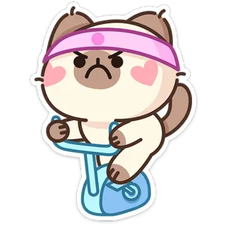 ☹️ chat, exercice, gym, fitness, vélo stationnaire, en colère telegram sticker