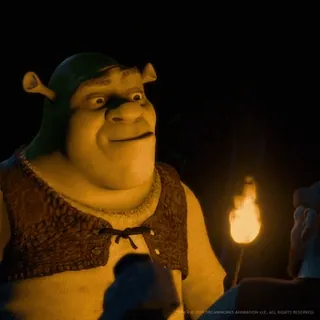 😏 Shrek shrek, dreamworks, ogre, film, lustig, charakter telegram sticker