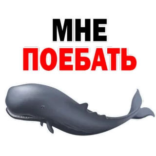 😂 МНЕ ПОЕБАТЬ Paus, Binatang, Teks, Rusia, Ofensif telegram sticker