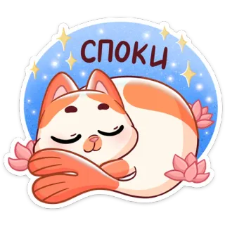 😴 СПОКИ Katze, schlafend, süß, kawaii, entspannend, ruhig telegram sticker