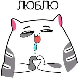 🥰 ЛЮБЛЮ แมว, ความรัก, น่ารัก, สัตว์, คาวาอิ, การ์ตูน telegram sticker