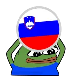 🇸🇮