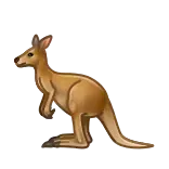🦘