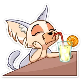🍸 animal, gato, relaxar, bebida, laranja telegram sticker