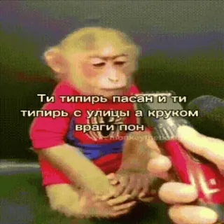 🐵 Ти типірь пасан и ти типірь с улицы а круком враги пон whatsapp sticker