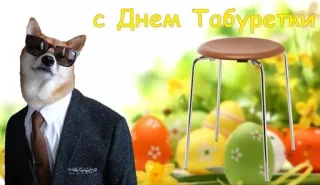 🪑 с Днем Табуретки dog, stool, sunglasses, suit, easter, celebration telegram sticker