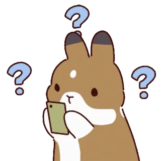 ๐คจ rabbit telegram sticker