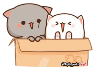 😄 @Sigillo_packs gato, pegatina, lindo, caja, animales telegram sticker