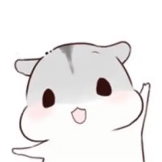 🤗 hamster, mignon, animal, dessin animé whatsapp sticker