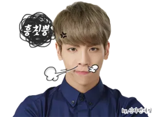 😤 홍치삥 bravo, desenho animado, irritado, coreano, rosto, expressão telegram sticker