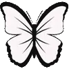 🦋