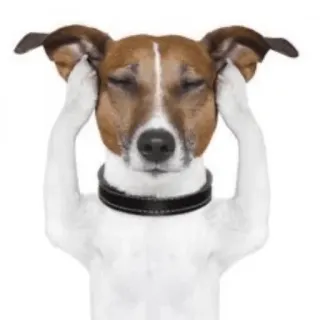 😒 dog, ears, eyes closed, hands, animal telegram sticker