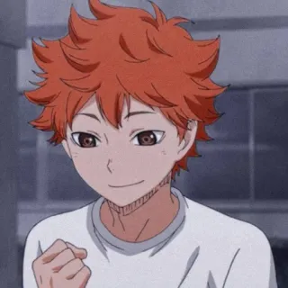💫 Hinata Shoyo Haikyuu!! Anime, Charakter, Haikyuu, Hinata Shoyo, Junge, Lächeln telegram sticker