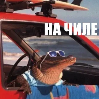 😀 НА ЧИЛЕ alligator, sunglasses, beach, chill, relax, vacation telegram sticker