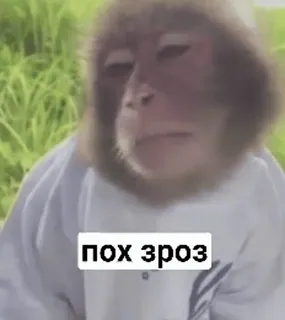 зроз :: @fStikBot telegram stickers
