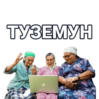 🚀 ТУЗЕМУН ältere Menschen, Frauen, Laptop, Russisch, Oma telegram sticker