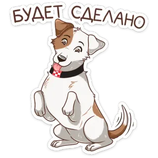 Питомцы :: @stickroom telegram stickers