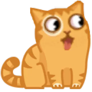 👀 gatto, gatto arancione, cartone animato, gatto divertente, animale, animale domestico, carino, adesivo whatsapp sticker