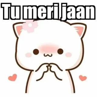 ⚜ Tu meri jaan mignon, chat, amour, romantique, hindi, jaan, coeur, adorable whatsapp sticker